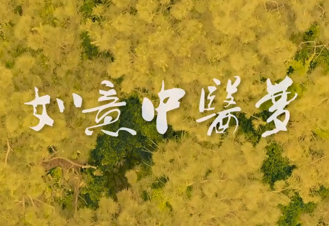 《如意中医梦》南宁市中医医院